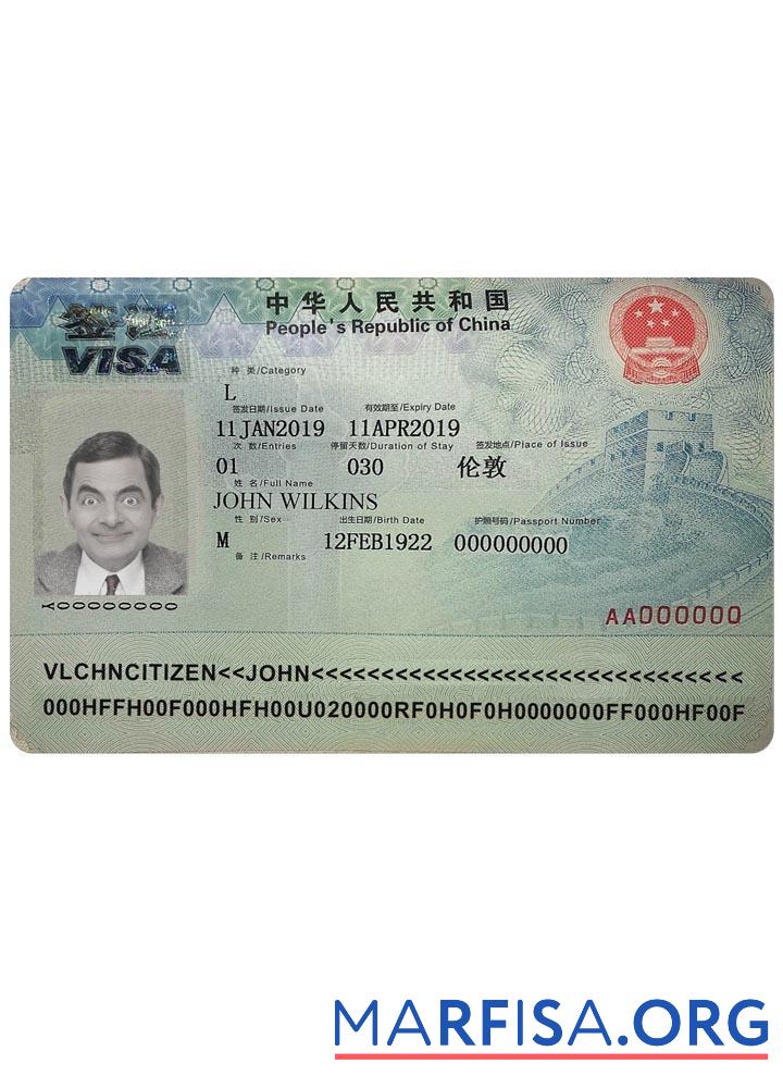 Blank China visa version 2 example